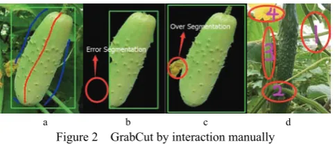 Figure 2  GrabCut by interaction manually 
