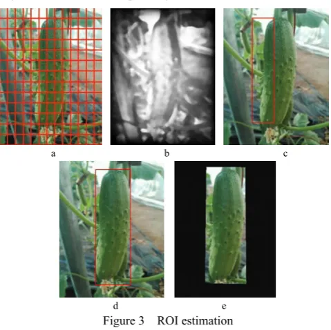 Figure 5  Morphology processing 