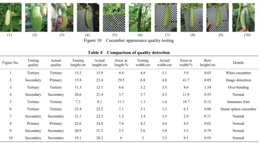 Figure 10  Cucumber appearance quality testing 