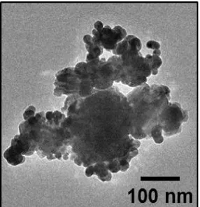 Fig. 1. TEM image of Ag/Cu nanoparticles. 