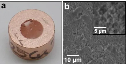 Fig. 4. Photograph (a) and SEM image (b) of metallic copper stage disc after measurement of shear strength
