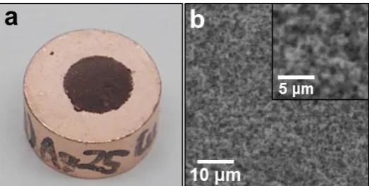 Fig. 5. Photograph (a) and SEM image (b) of metallic copper stage disc after measurement of shear strength