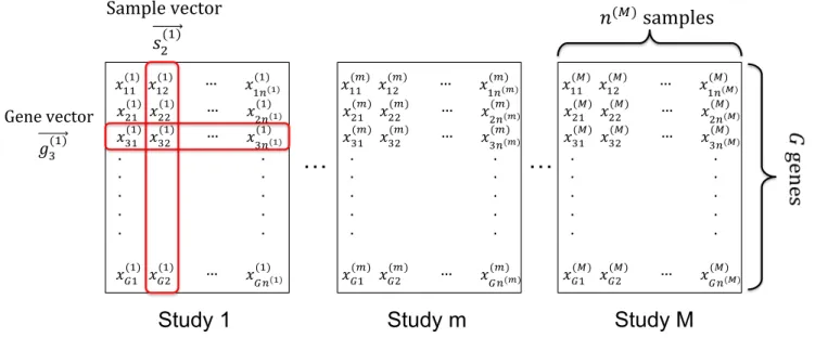 Figure 1: Data structure of multiple genomic studies