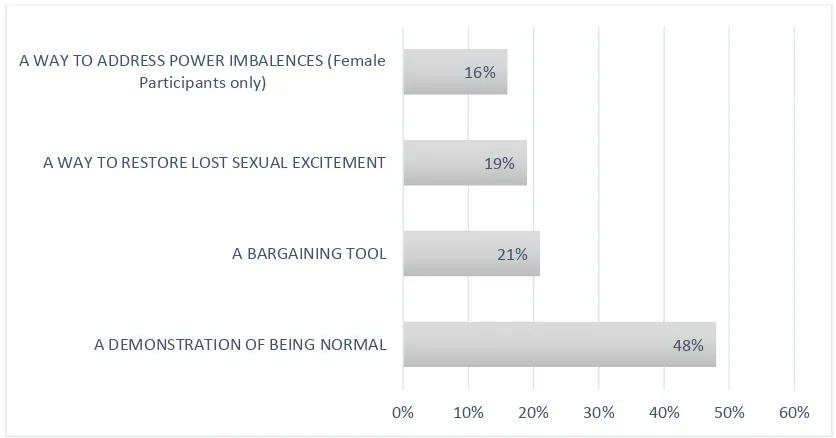 Figure 7: The meanings of sexual experimentation  