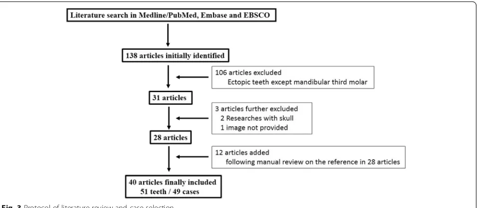 Fig. 3 Protocol of literature review and case selection