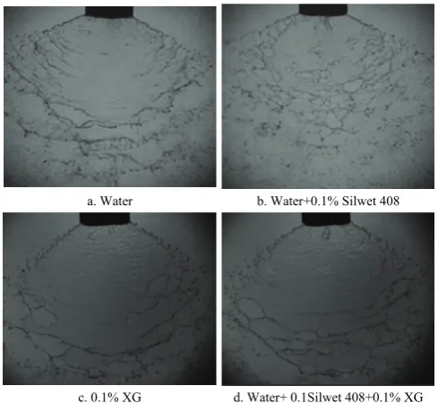 Figure 7  Images of liquid sheet in different solutions 