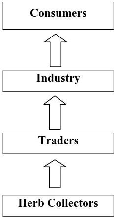 Figure 1.Relationship between MFP collectors, traders, industry and consumers 