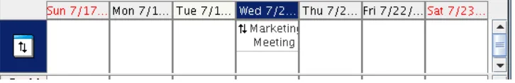 Figure 5-1   All-Day-Events Pane