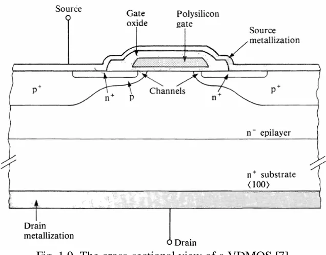 Fig. 1.9. The cross-sectional view of a VDMOS [7]. 