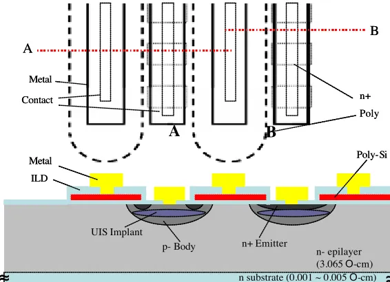 Fig. 3.9. The 3-D cross-section of a proposed structure showing a metal line shorting p-  body and n+ source regions