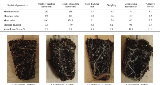 Table 1  Statistical results of tomato pot seedlings physical properties 