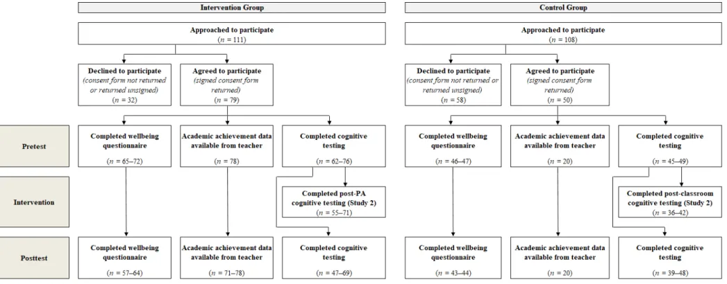 Figure 5.2. Flow of participants through Studies 2 and 3 