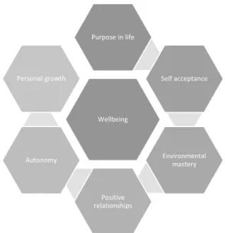 Figure 5 - Core dimensions of wellbeing - Ryff (1995) 