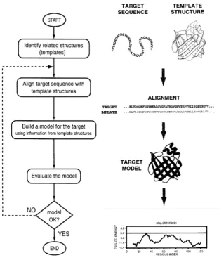 Figure 3.2: The ﬂow for comparative protein structure modelling. The ﬁgurehas been taken from Ref