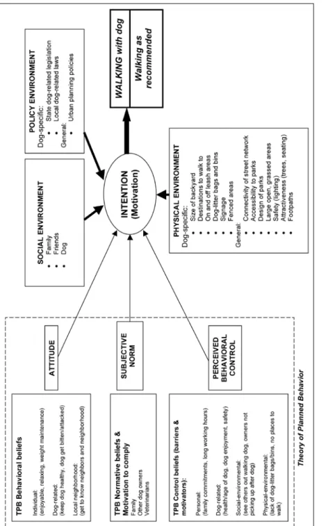 Figure 1 — Theoretical model of the relationship between dog ownership and w