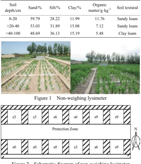 Table 1  Basic physical and chemical properties of soil 