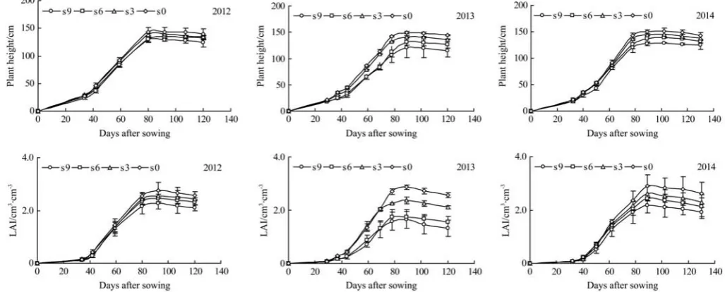 Figure 7  Plant height and LAI of maize for seed production across different days after sowing 