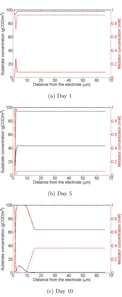 Figure 1: The concentrations – averaged over the columns of cells along the length of theelectrode – of materials along the distance away from the anode electrode during diﬀerentdays (dashed line represents the oxidized form of the mediator).