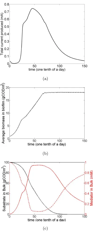 Figure 2: Model’s results: (a) the current output, (b) the evolution of biomass and (c) theevolution of concentrations in the bulk liquid.