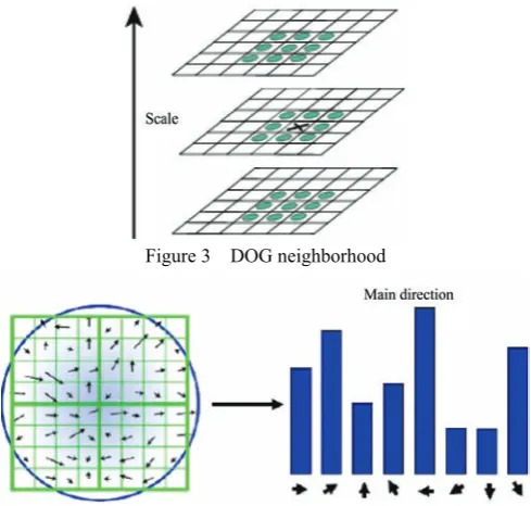 Figure 3  DOG neighborhood 