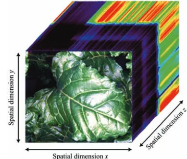 Figure 6  Structure of hyperspectral image data cube[92]