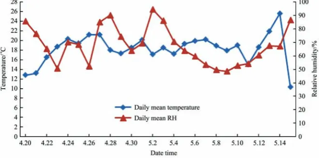 Figure 5  Daily mean temperature and relative humidity during test 