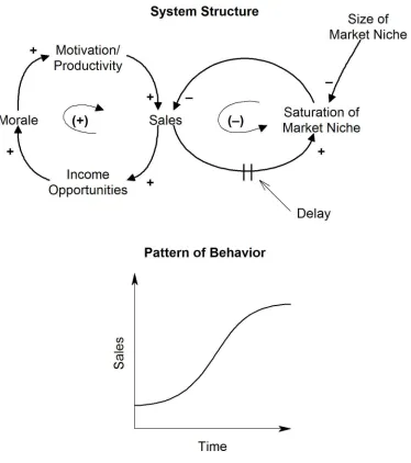 Figure 1.8Combination of positive and negative loops: Sales growth
