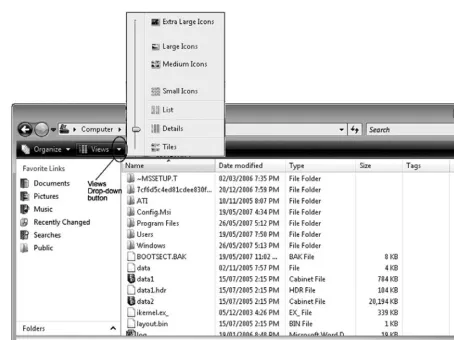 Figure 2.9Windows Explorer view of Local Disk files and folders with view options menu.