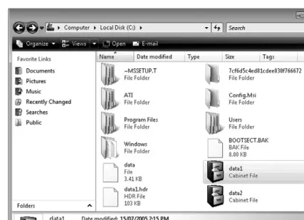 Figure 2.10Windows Explorer Tiles view.