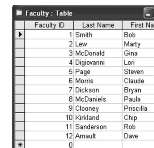 Figure 10.3Faculty table in the academic_records.accdb database.