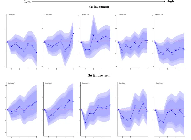 Figure 6: Demand Uncertainty and Debt Constraint