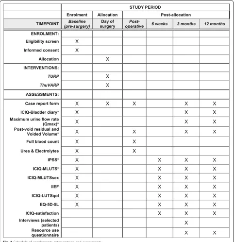 Fig. 2 Schedule of enrolements, interventions and assessments