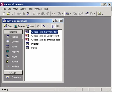 table to open it in what Access calls “Datasheet View,” which appears in a new 