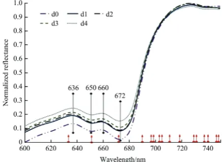 Figure 4  Comparison of the mean relative reflectance spectra of sprouting potato eyes (red arrows indicate selected wavelengths) 