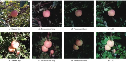 Figure 3  Flow chart of night vision image preprocessing 2.2.1  Color analysis  