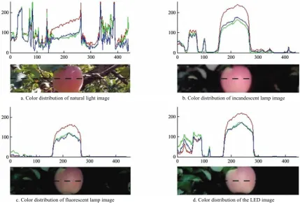 Figure 4  Corresponding RGB components of images under different lights 