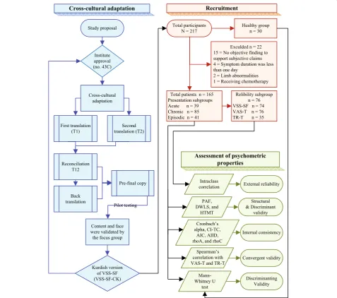 Fig. 1 The course of the study. Note: Each color represent a specific field of work in the study; Black arrows show the sequential order andconnections between the fields