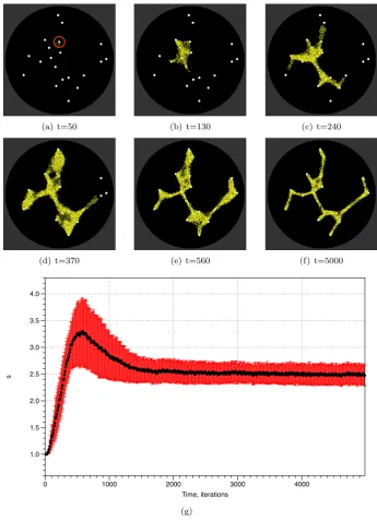 Figure 6: Dynamics of s during construction and adaptation of spanning treesin the model plasmodium