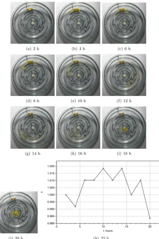 Figure 8: Physarum solves maze problem (a–i) Photographs of the experimen-tal setup taken in 2 h intervals