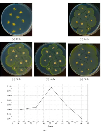 Figure 2: Physarum approximate Voronoi diagram [2]. (a–e) Photographs ofthe experimental setup taken in 12 h intervals.See details of setup in [2].(f) Dynamic of compressibility s(t).