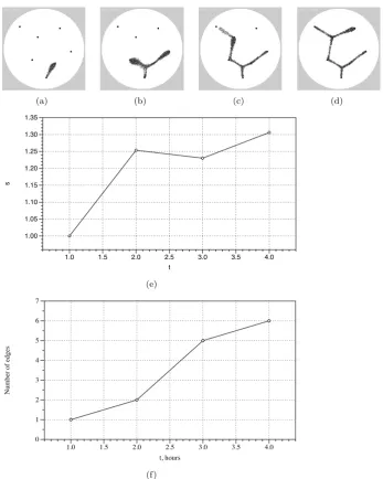 Figure 5: Modelling Physarum approximation of spanning tree. (a–e) Snapshotsof the computer experiments