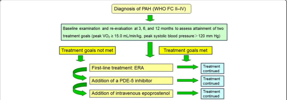 Fig. 1 Study protocol. Goal-based therapeutic algorithm used in the present study for patients with newly diagnosed pulmonary arterialhypertension (PAH)