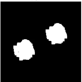 Figure 5.5: output after Dilate operation applied (six times) 