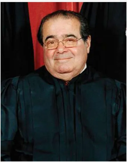 Figure 2.7Justice Antonin Scalia 