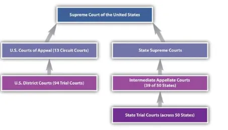 Figure 2.9 State and Federal Court Systems 