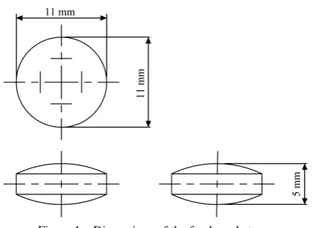 Figure 1  Dimensions of the food-grade tracer 