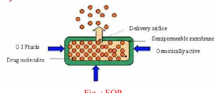 Fig. : EOP