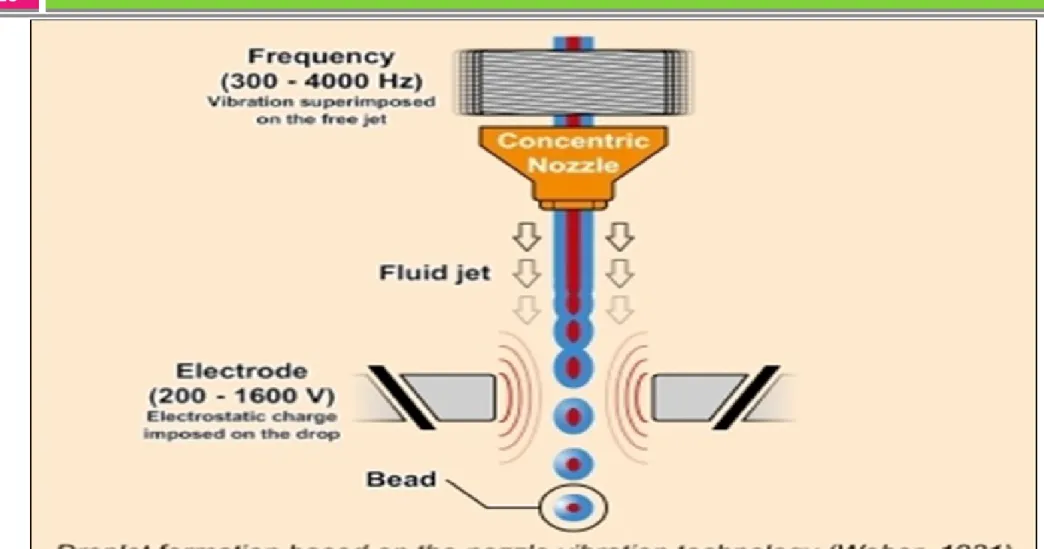 Fig. 7: Formation of Droplets Using Vibrational Nozzle  Technique. 