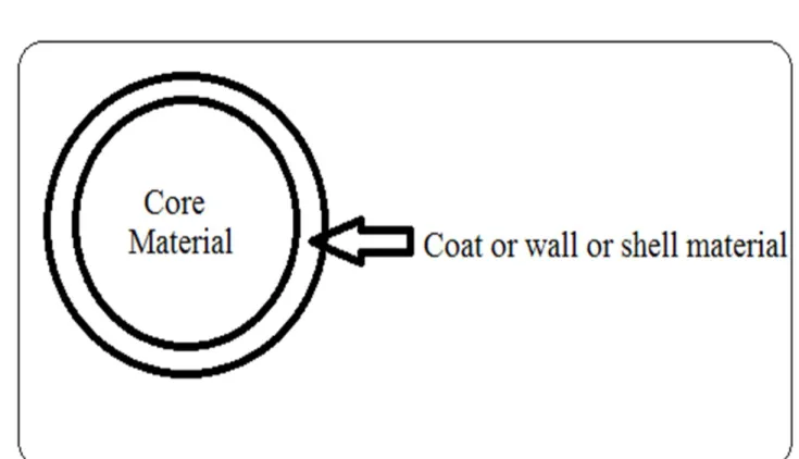 Fig. 1: Microcapsules