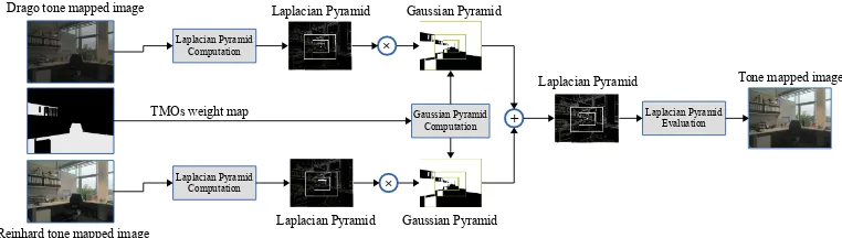 Figure 7: Graphical representation of the fusion step of our Framework. Theoriginal image is copyright of Ahmet O˘guz Aky¨uz.